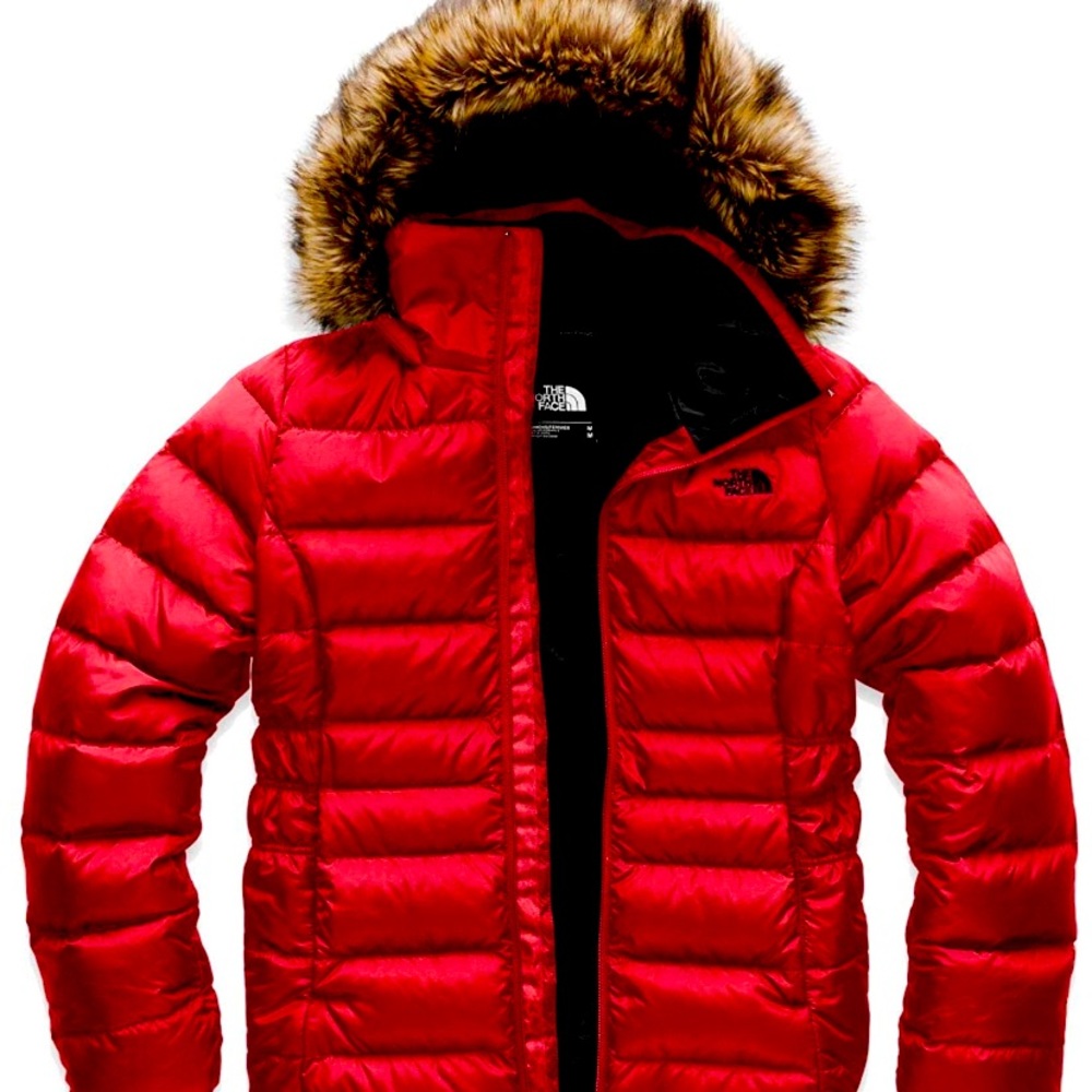 COPY - North Face Gotham Women's Jacket size small